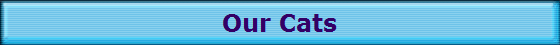 Our Cats